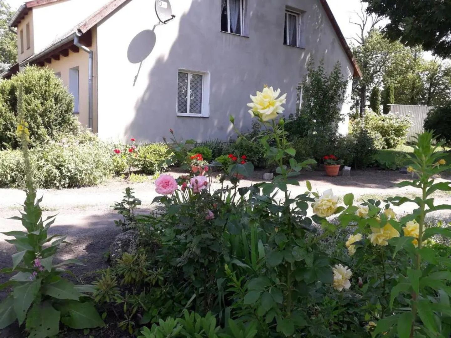 Apartamenty Stajni Jazon Malbork