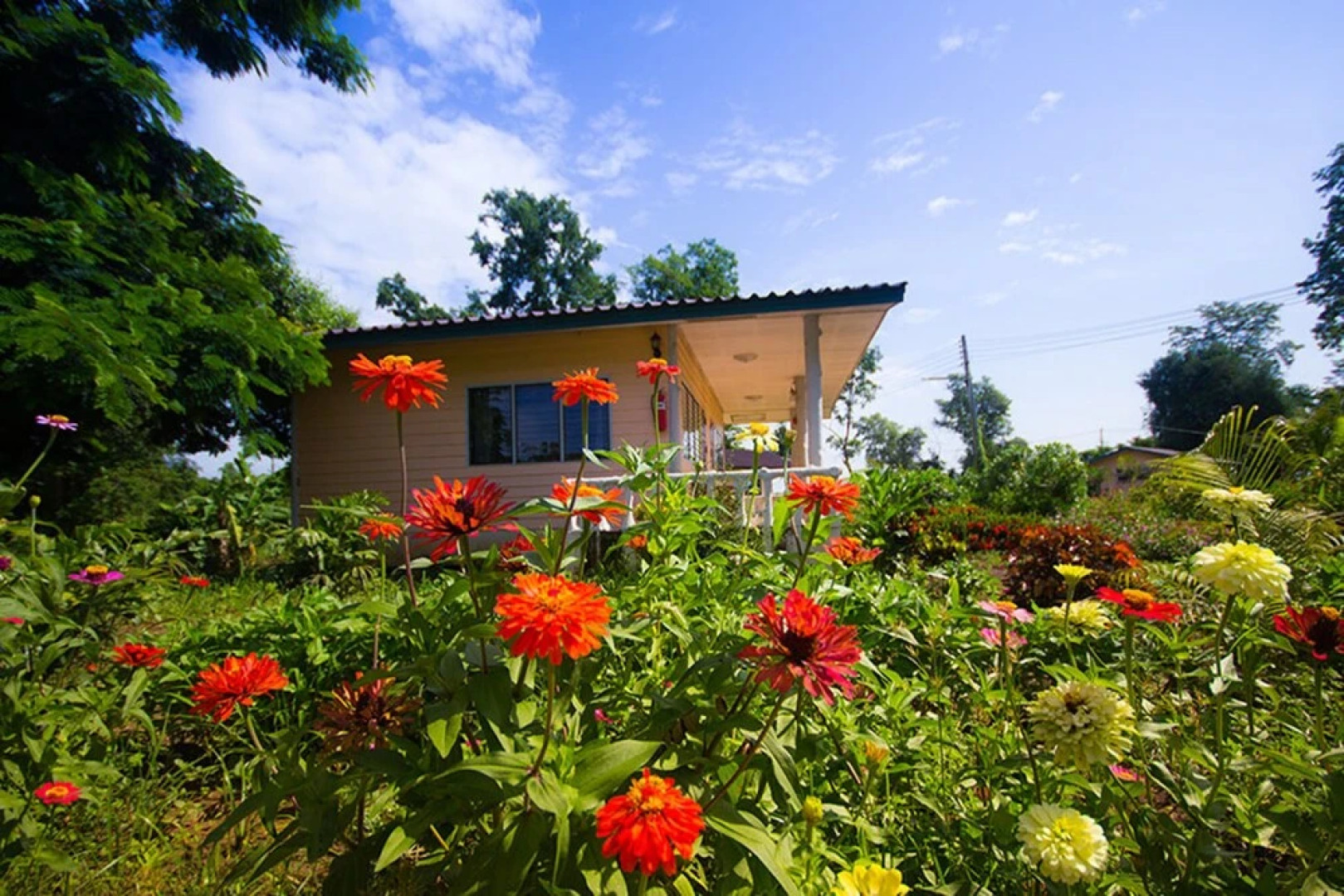 Country Lake Nature Lodge