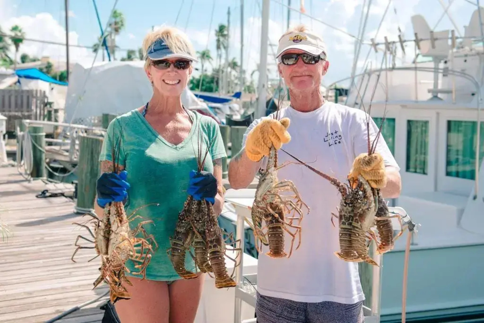 Skipjack Resort & Marina