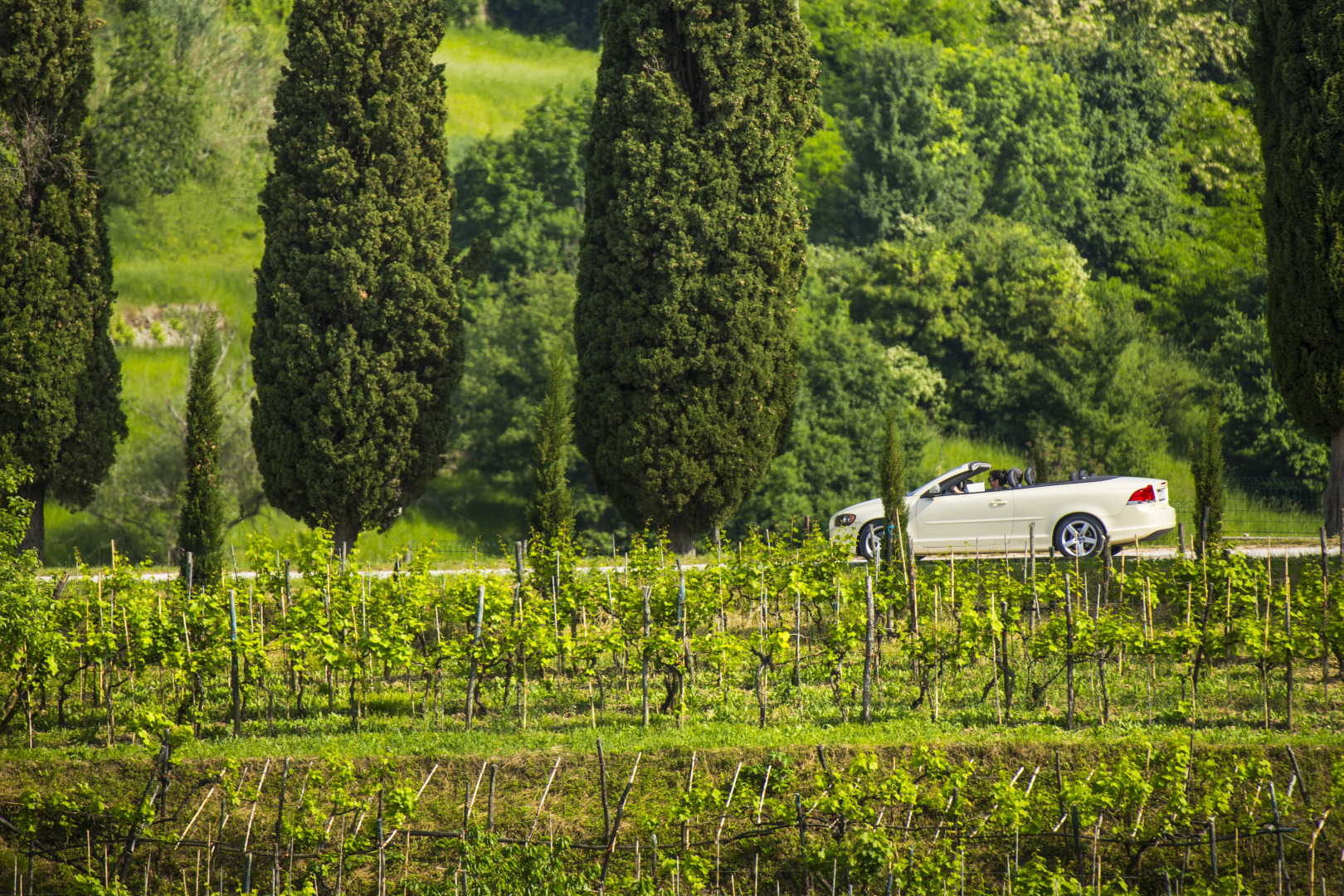 Villa Palazzo Angelica