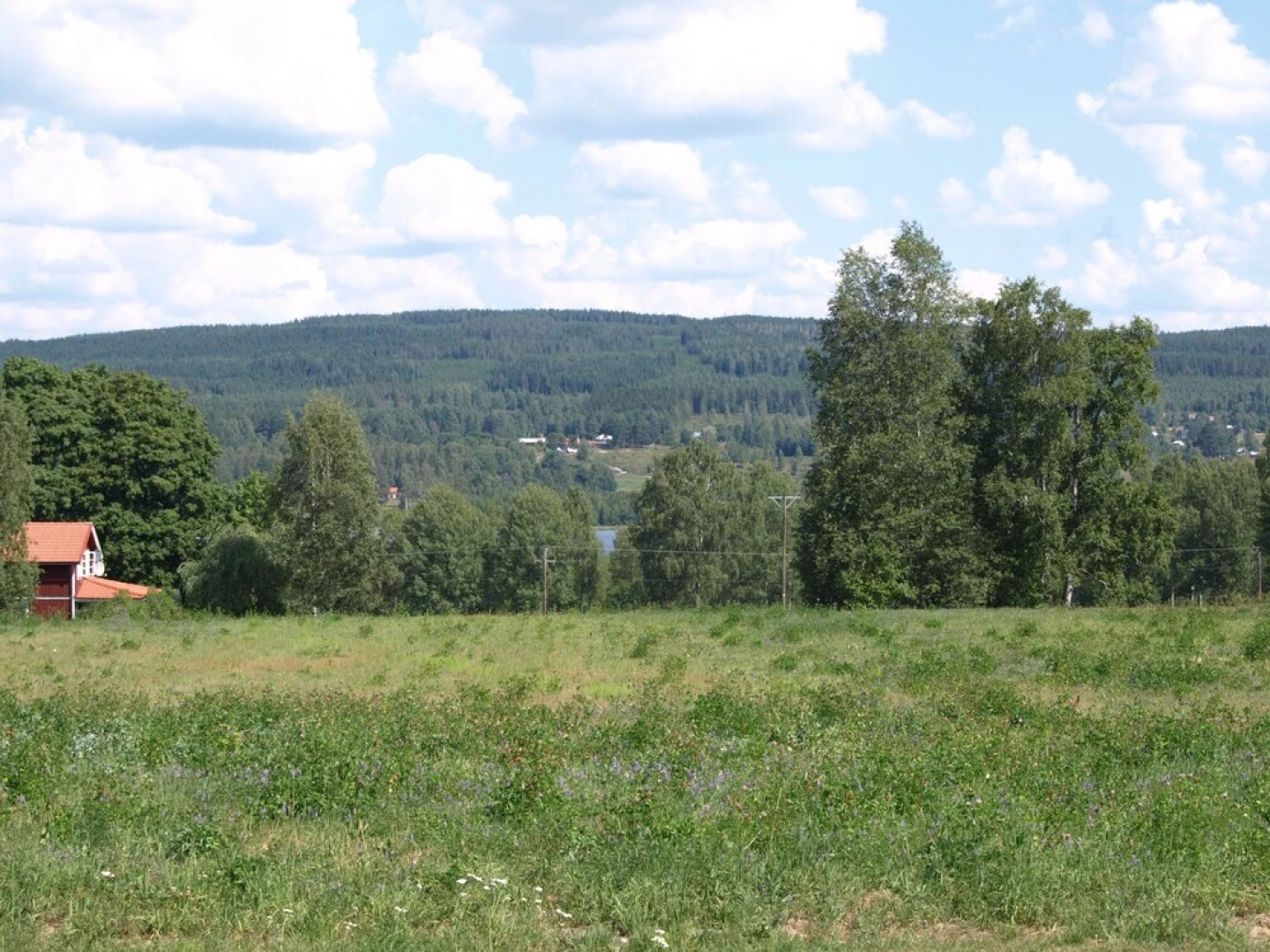 The Green House Guesthouse Sunnemo