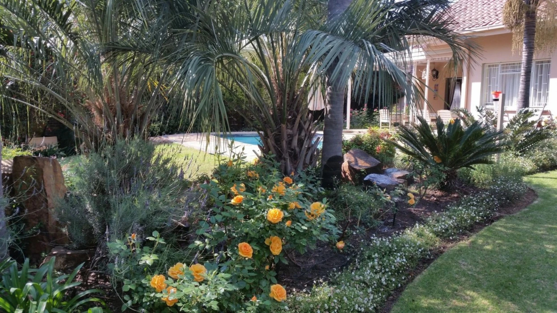 Royal Ridge Guest House