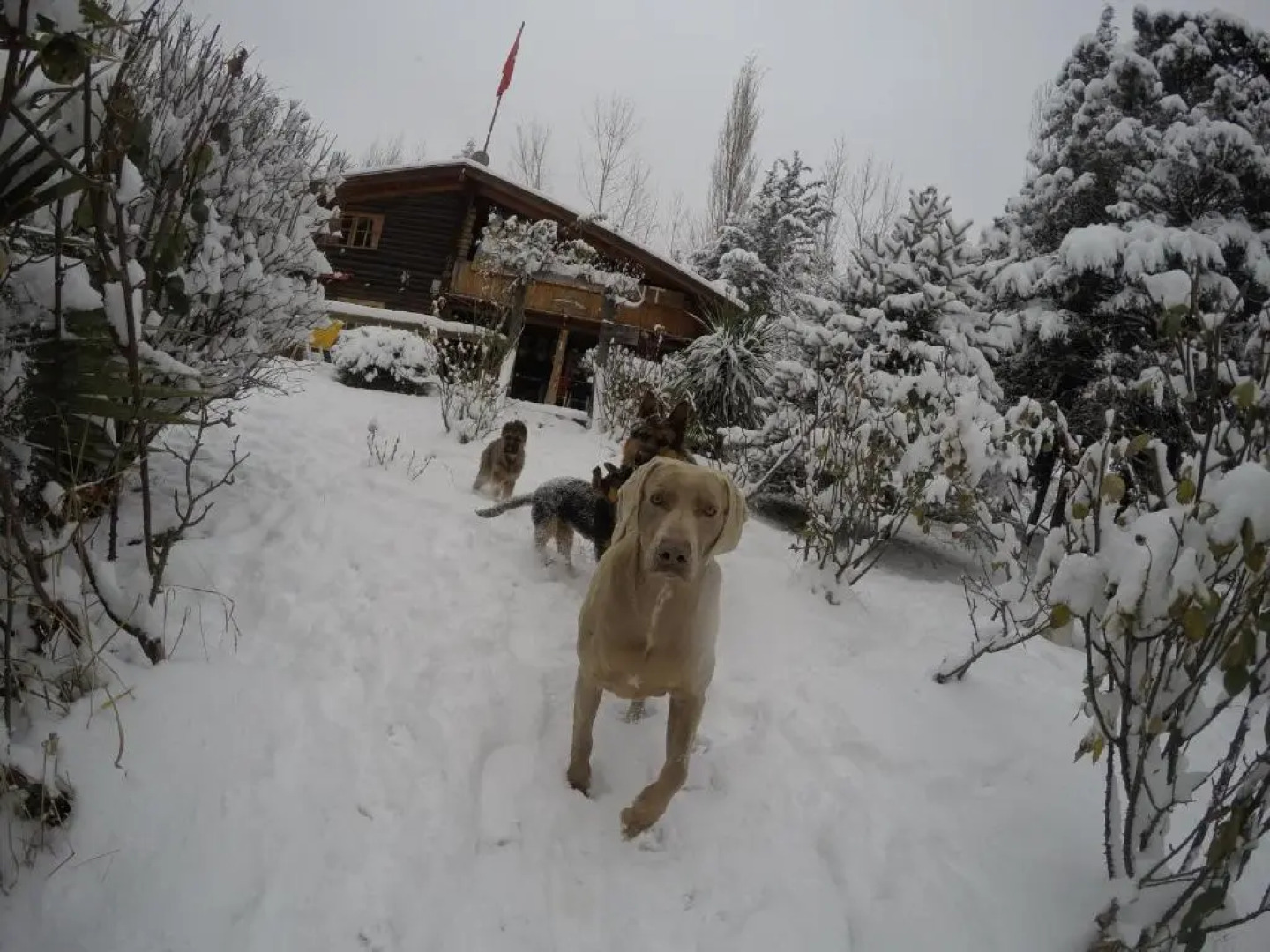 Cabañas swissminiatur