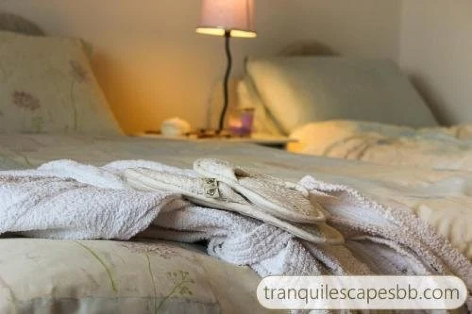 Tranquil Escapes B&B