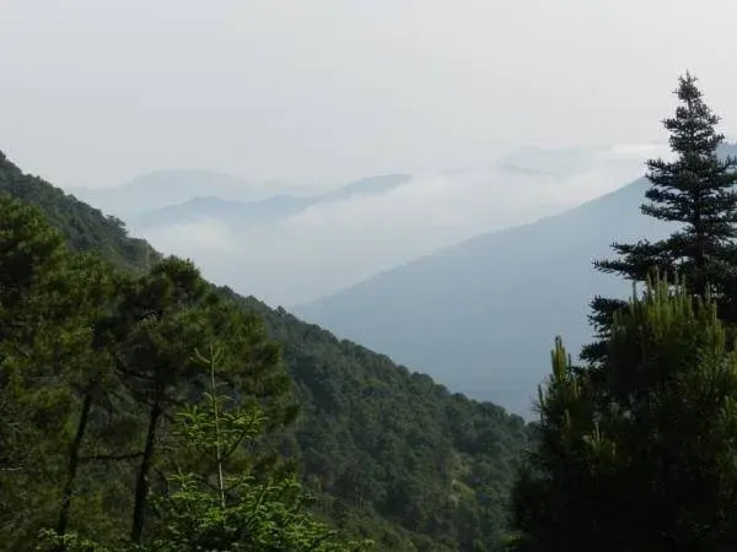 Casas Rurales Jardines Del Visir