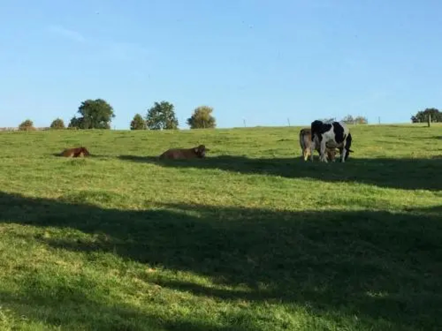 Vakantiewoning Kleijnen