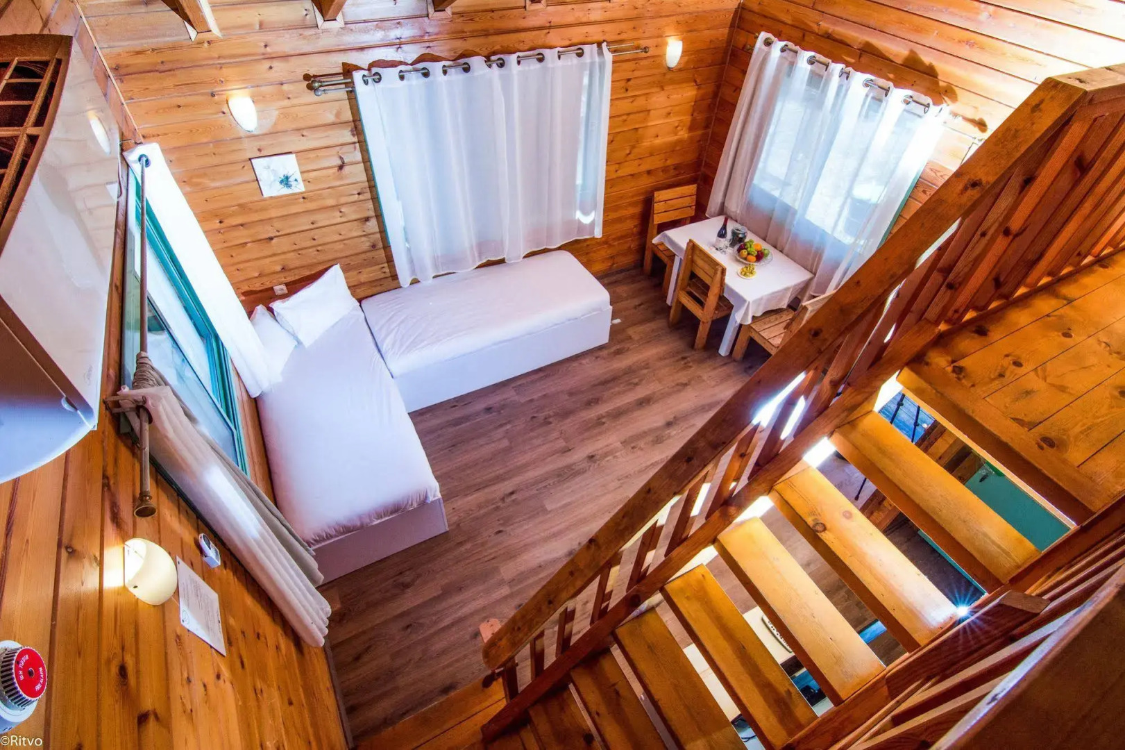 Olive in Sea of Galilee