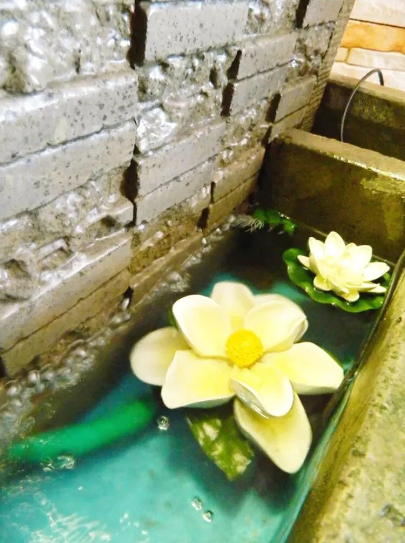 Hostal Jardin Del Sol