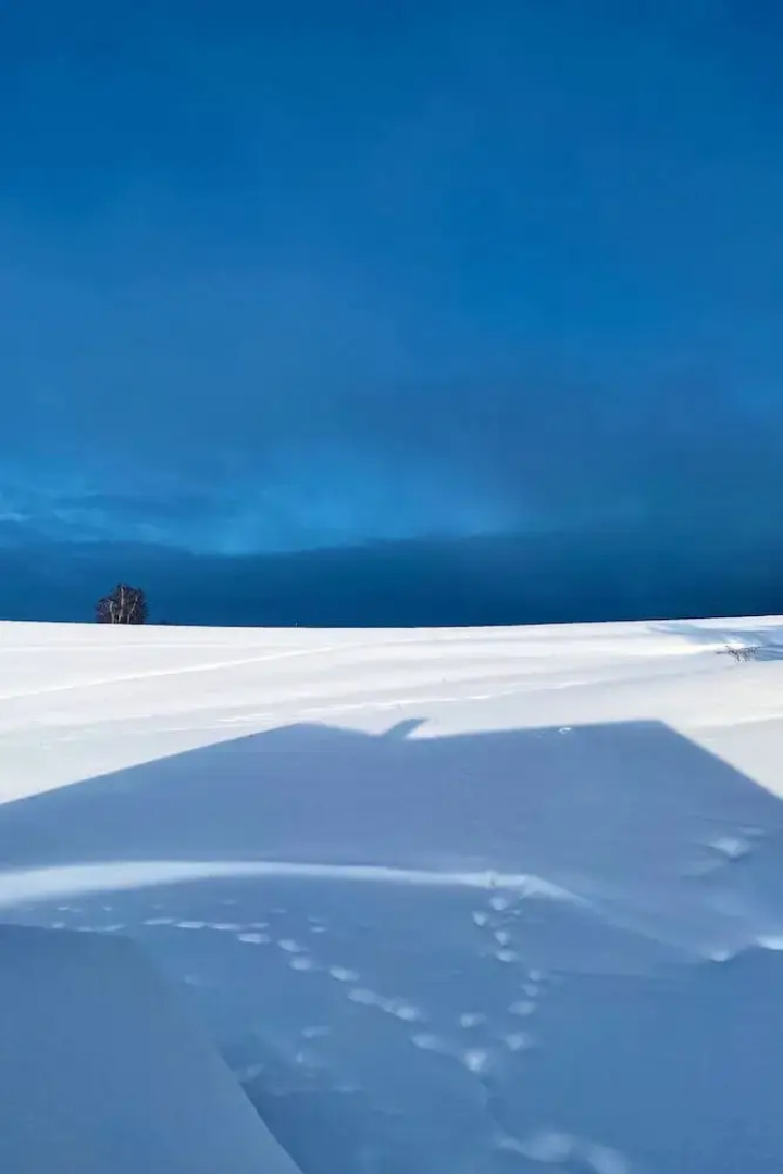 V Chov nad Jizerou Lvv033