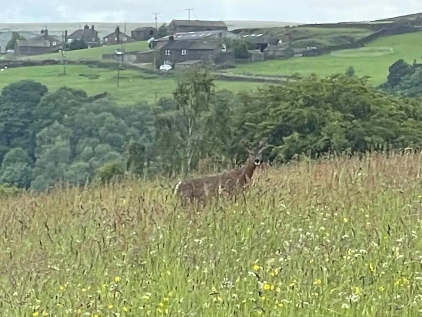 Inviting 4 Berth Caravan in Hebden Bridge
