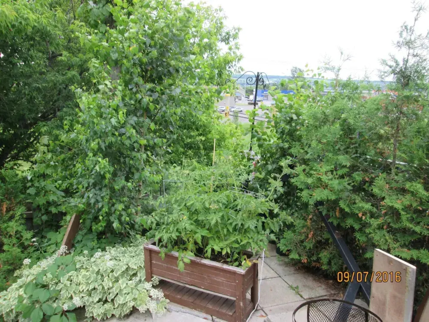 Patala - Hébergement