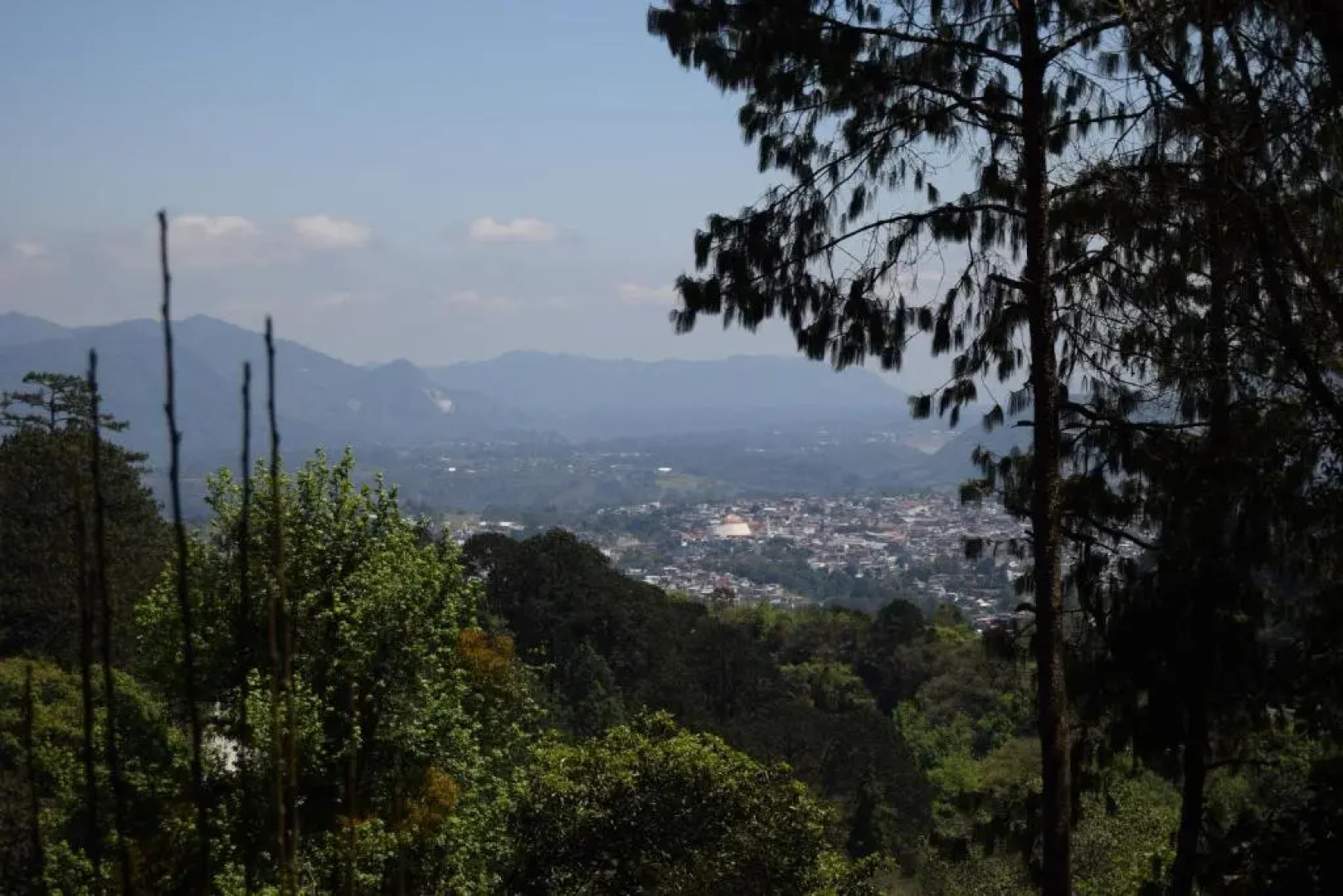 Hotel Campestre Daarlu