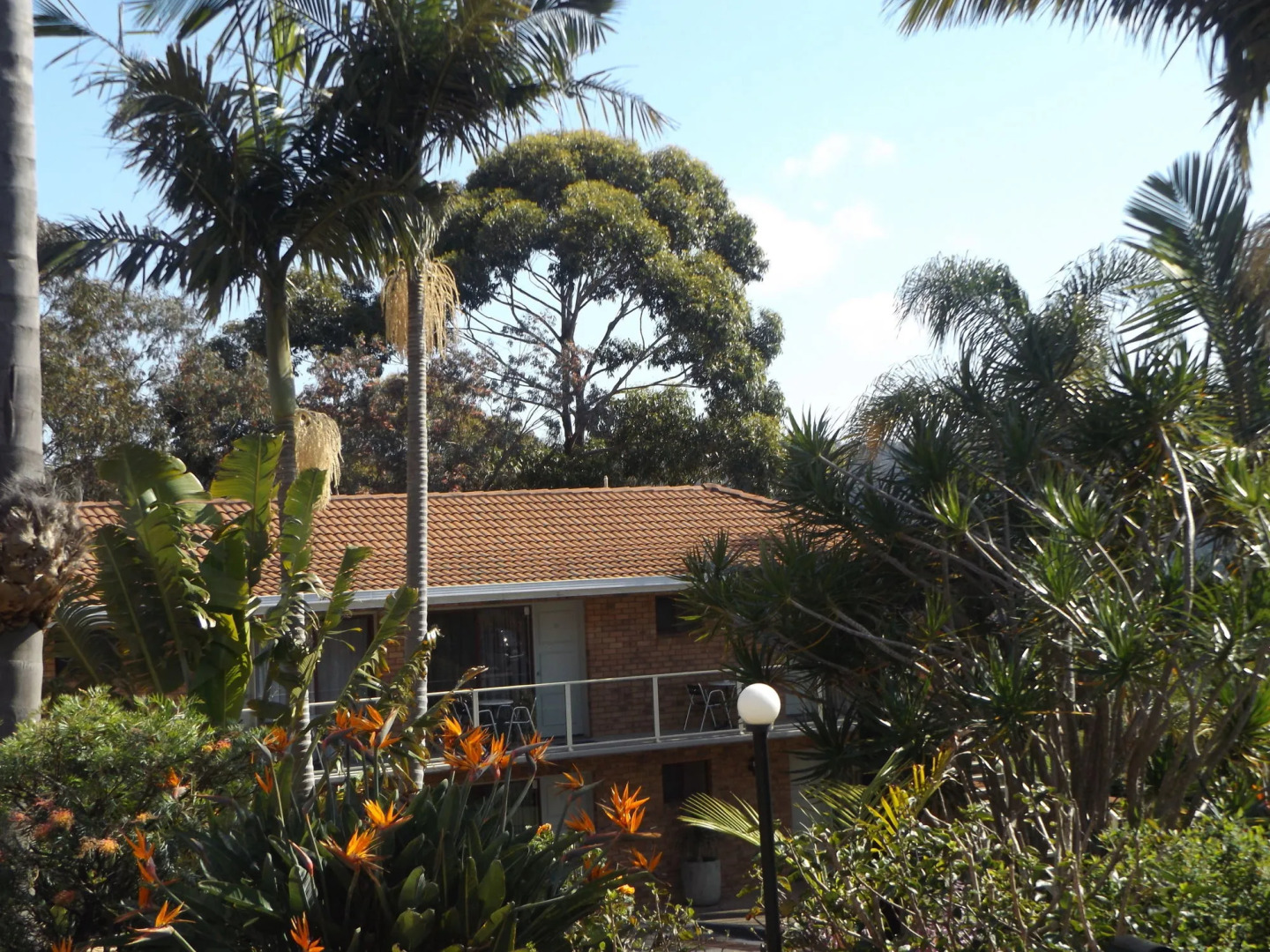 Ocean View Motor Inn