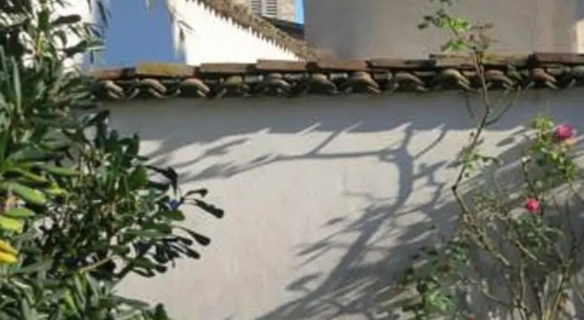 Les Rivoires