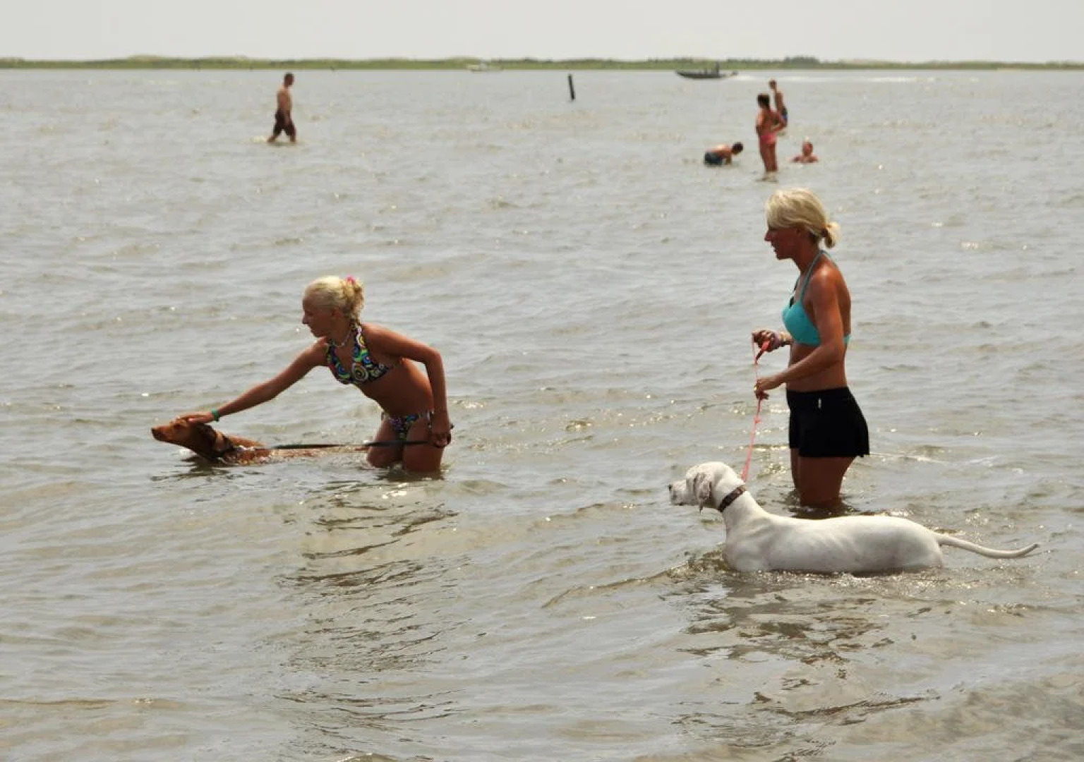Sun Outdoors Ocean City