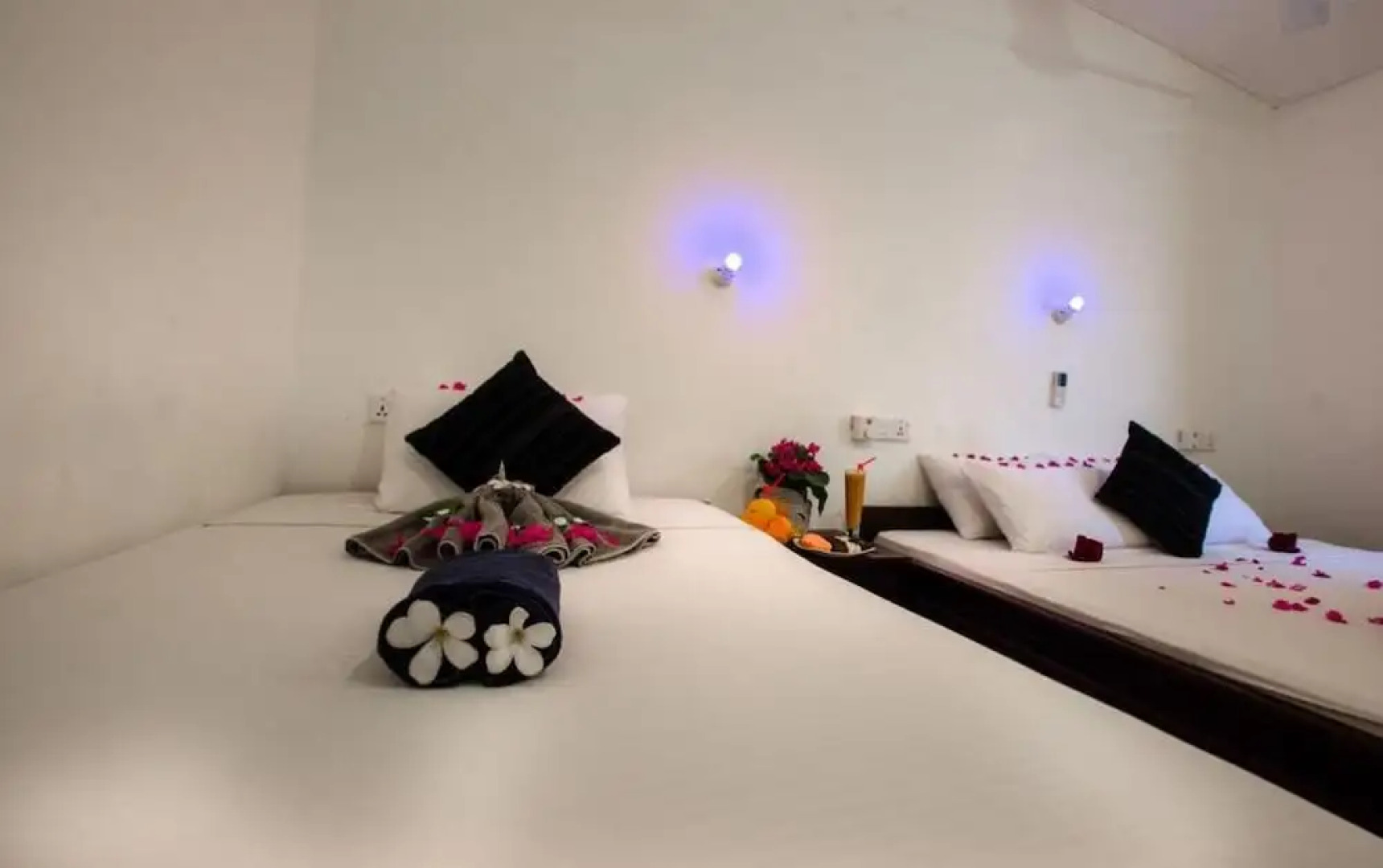 The Surf Access Guest House