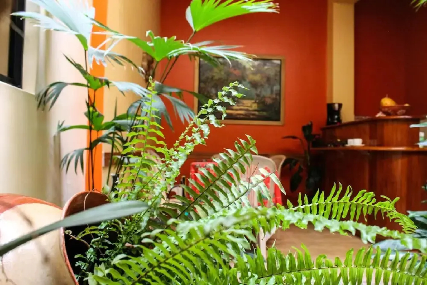 Sol de Selva Hostal