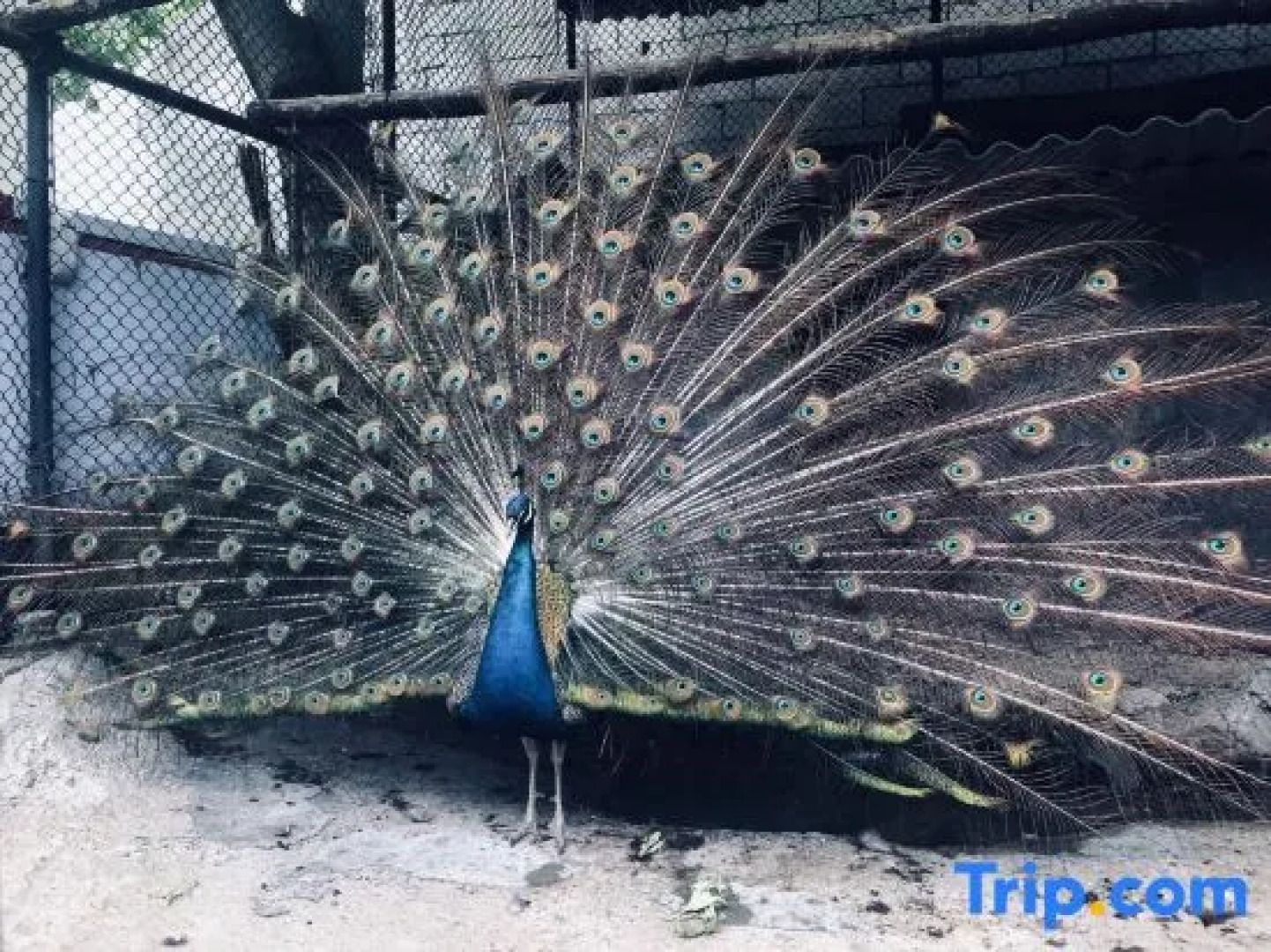 Jiuzhaigou Forest and Water, Light Luxury and Beautiful Accommodation