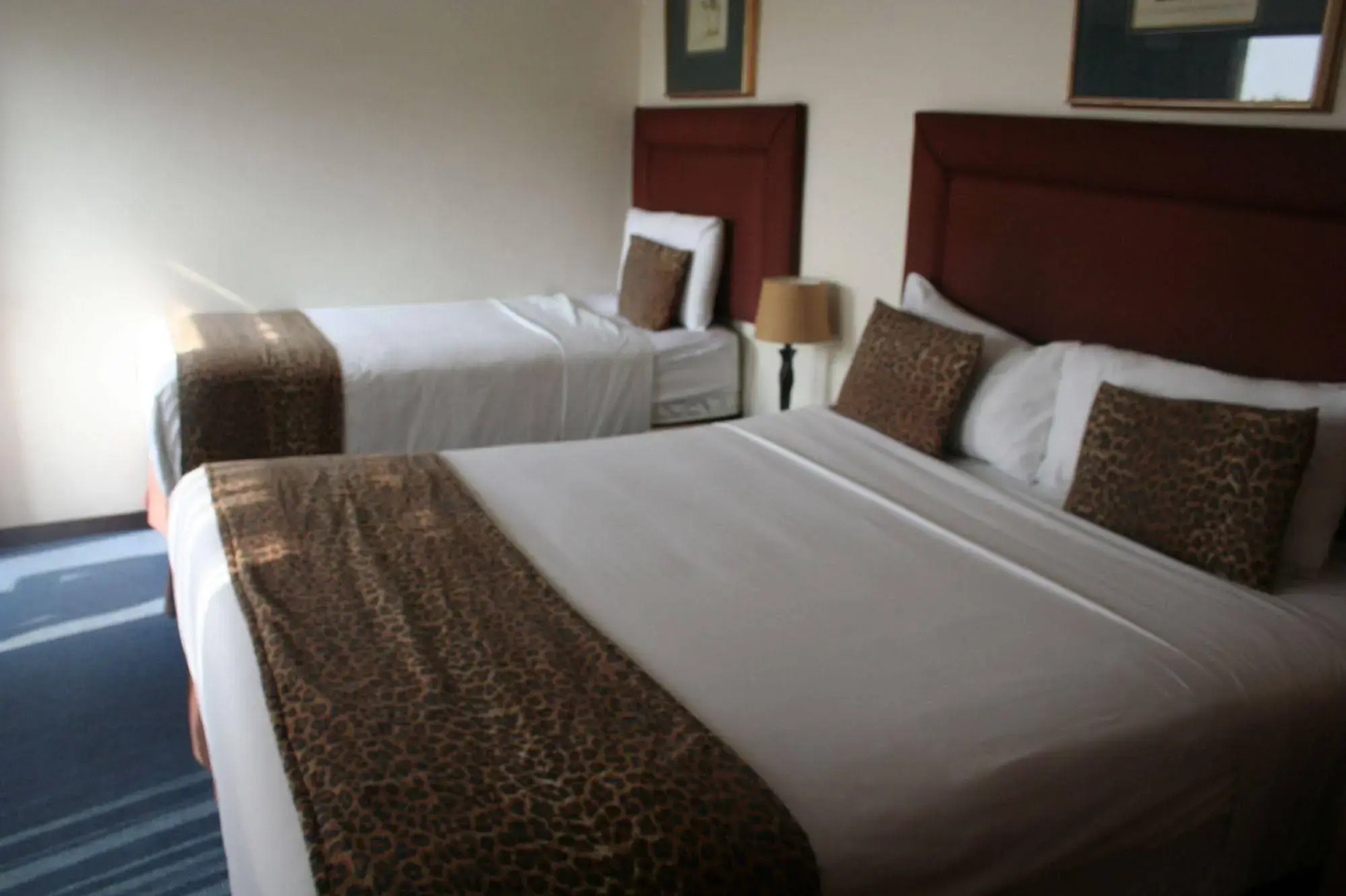 Ecotel OR Tambo Airport