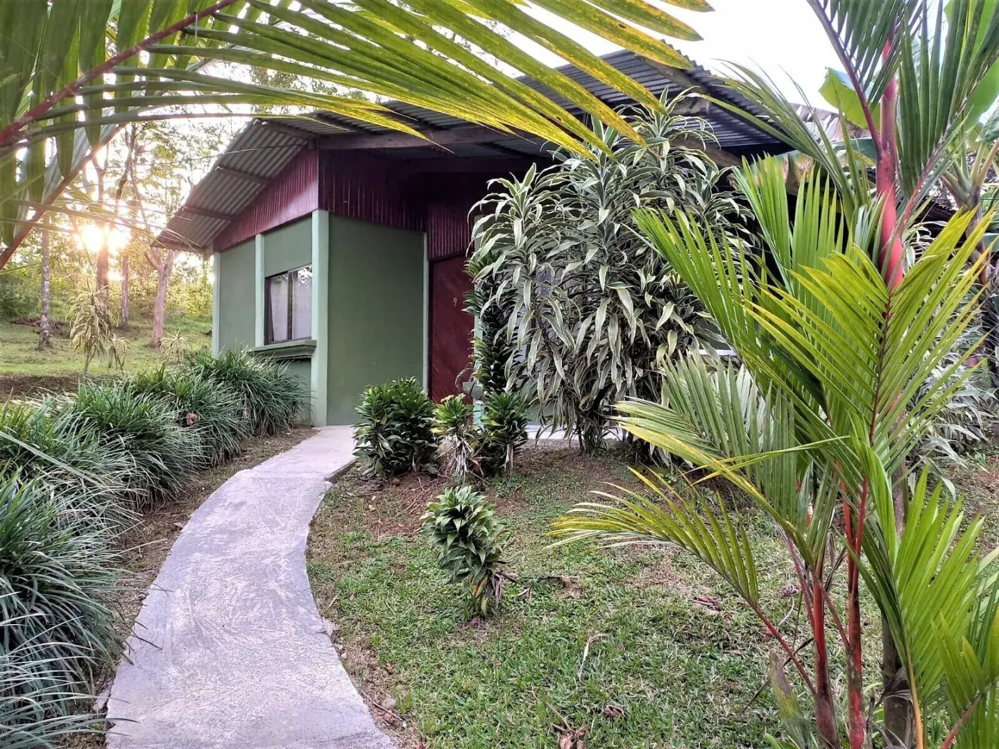 Rio Celeste Nature View