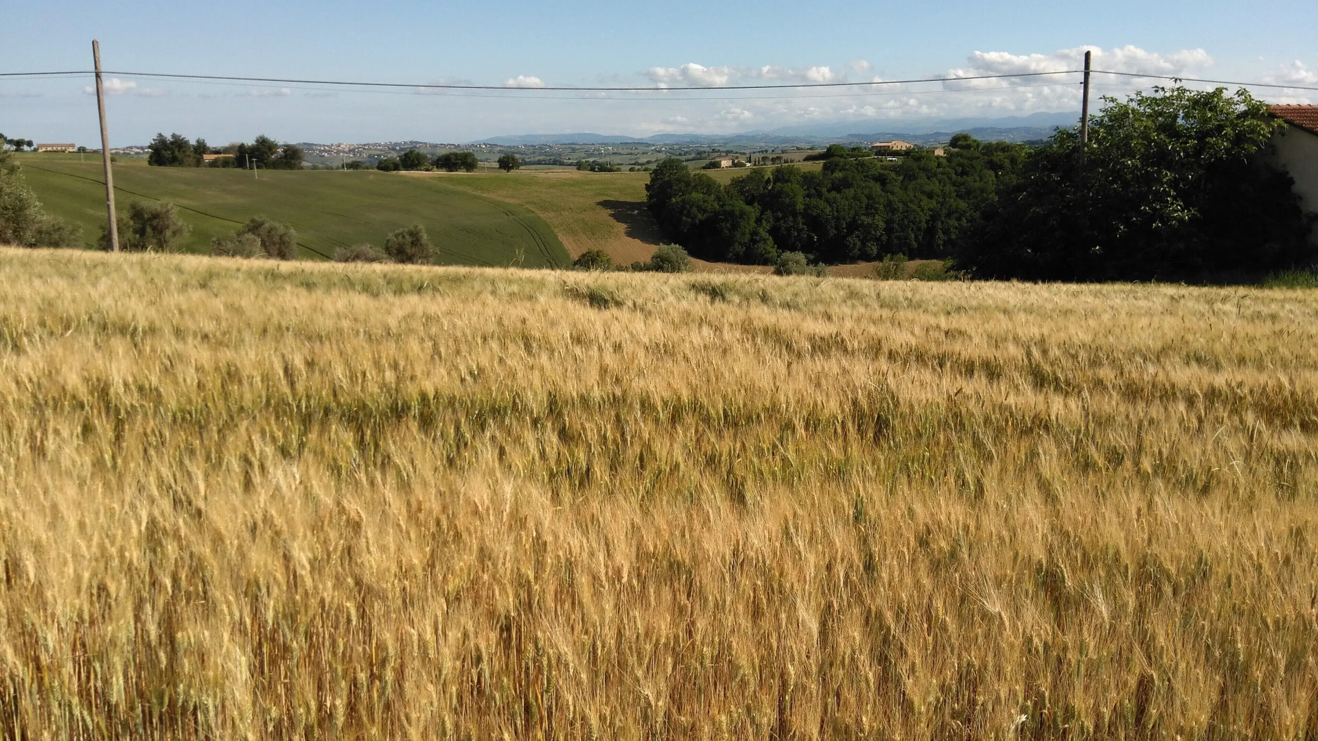 CIVETTA-Wohnung-kleines-Nest