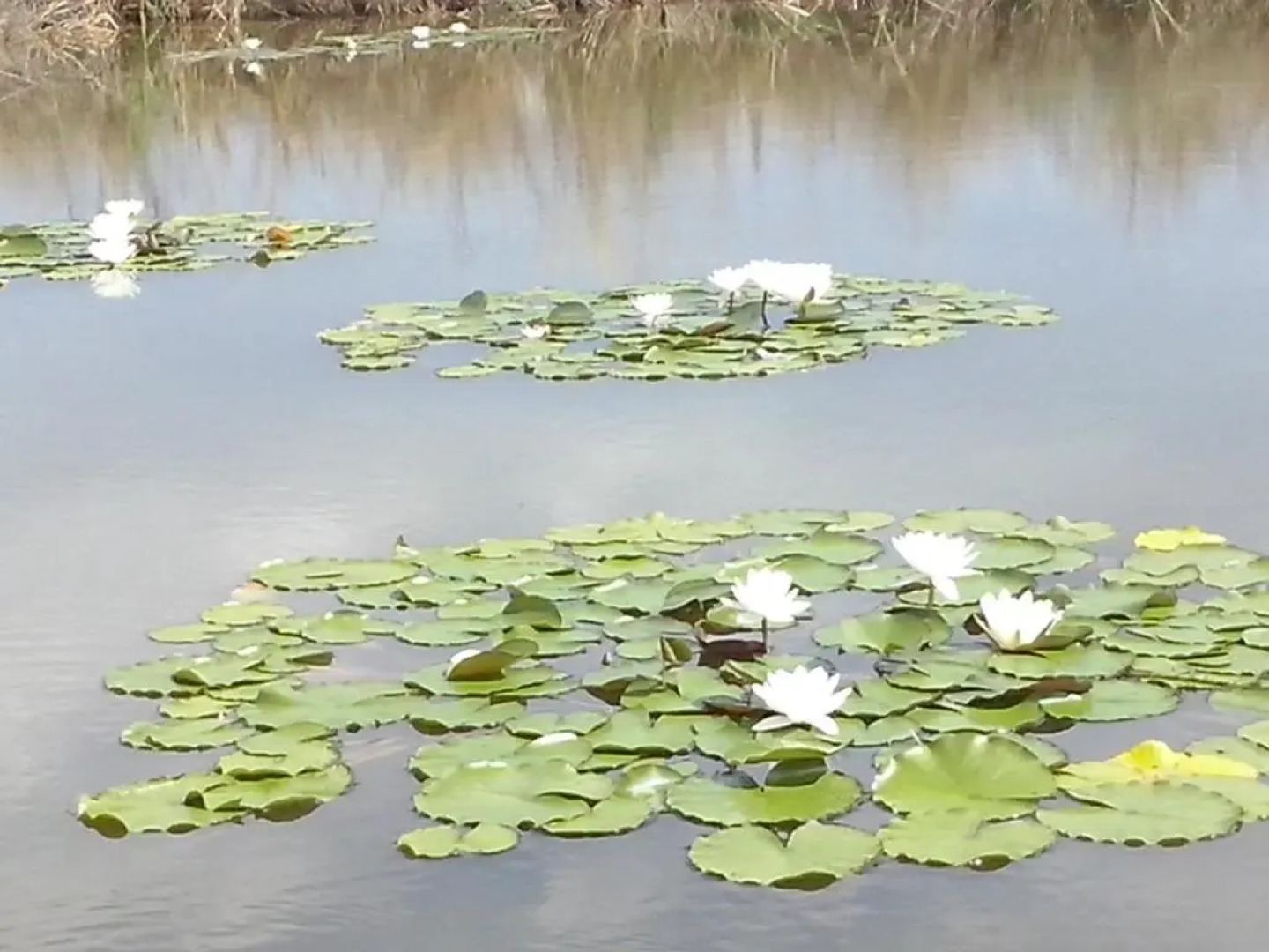 Locanda dei Melograni