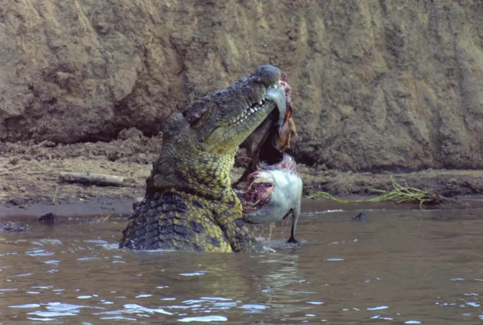 Mara Siria Tented Camp & Cottages