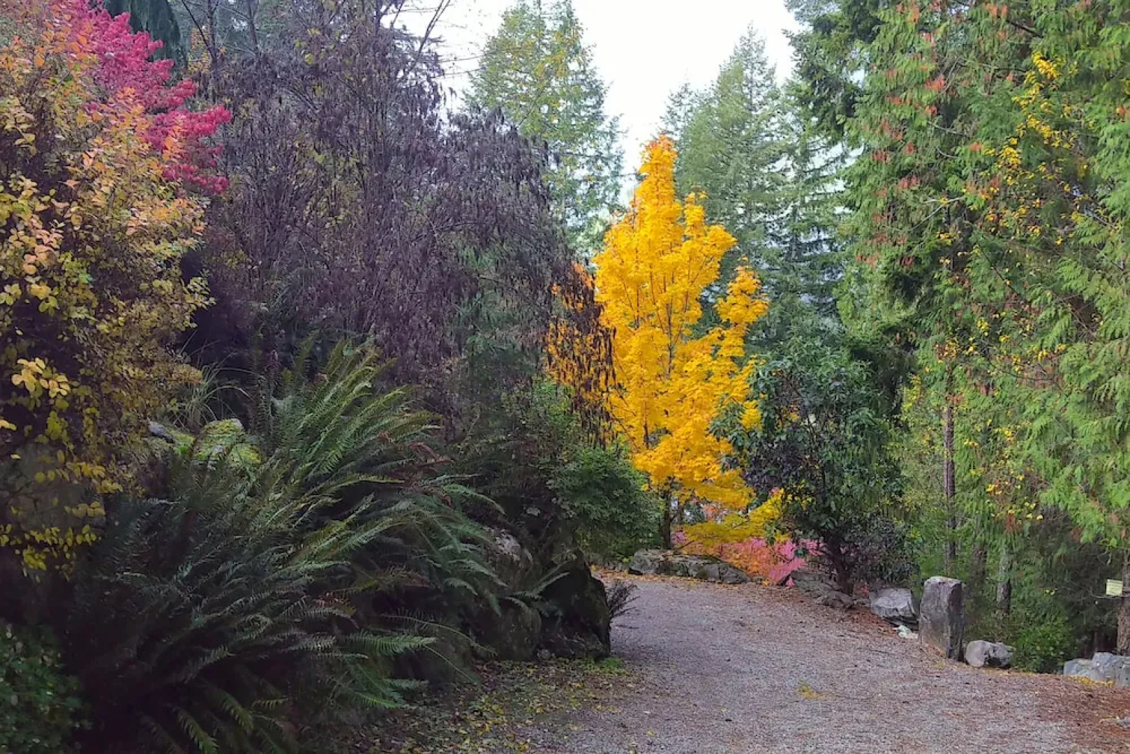 The Perch at Moon Dance