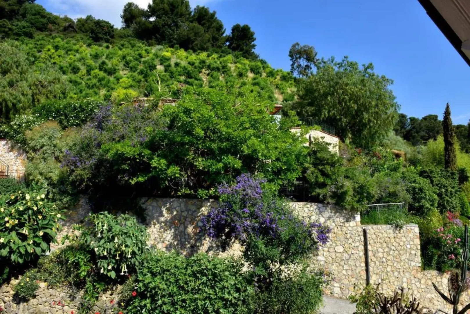 Agriturismo Un Mare di Fiori