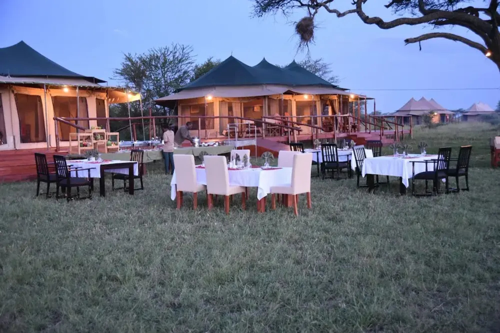 Acacia Seronera Luxury Camp