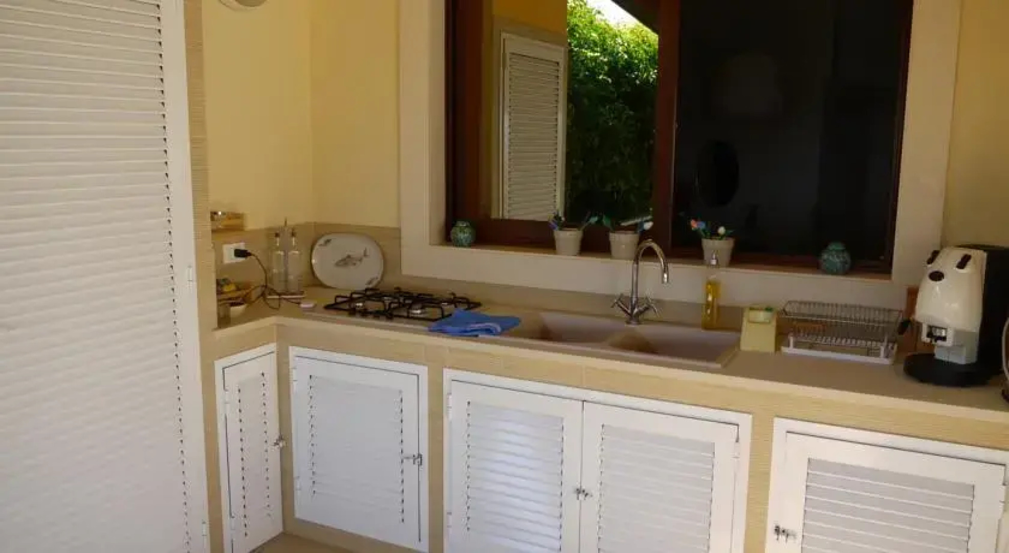 White and Blue Holidays