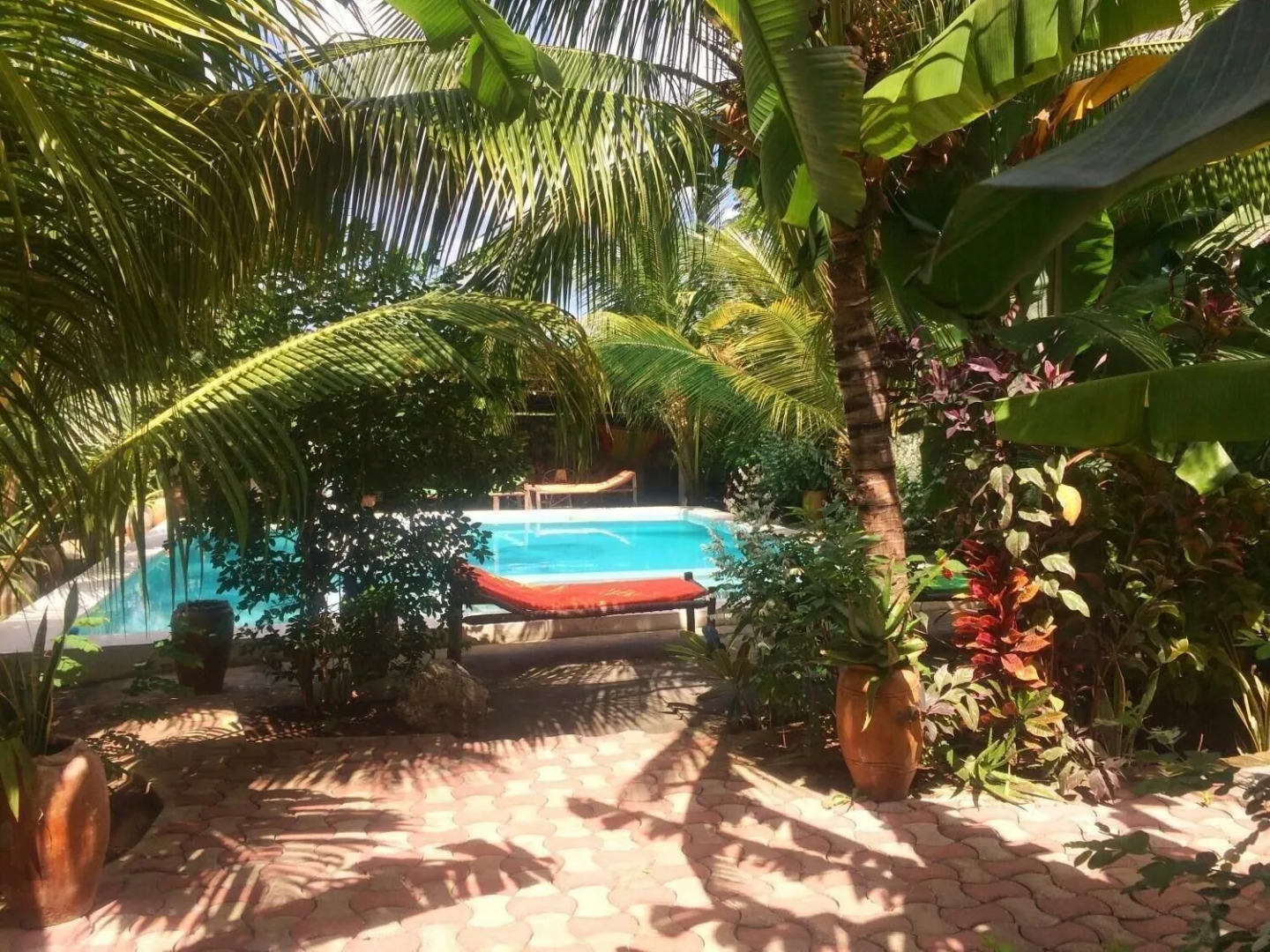 Simba Garden Lodge - Hostel