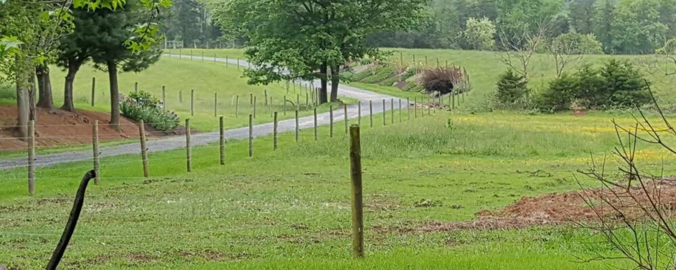 Mountain Valley Farm