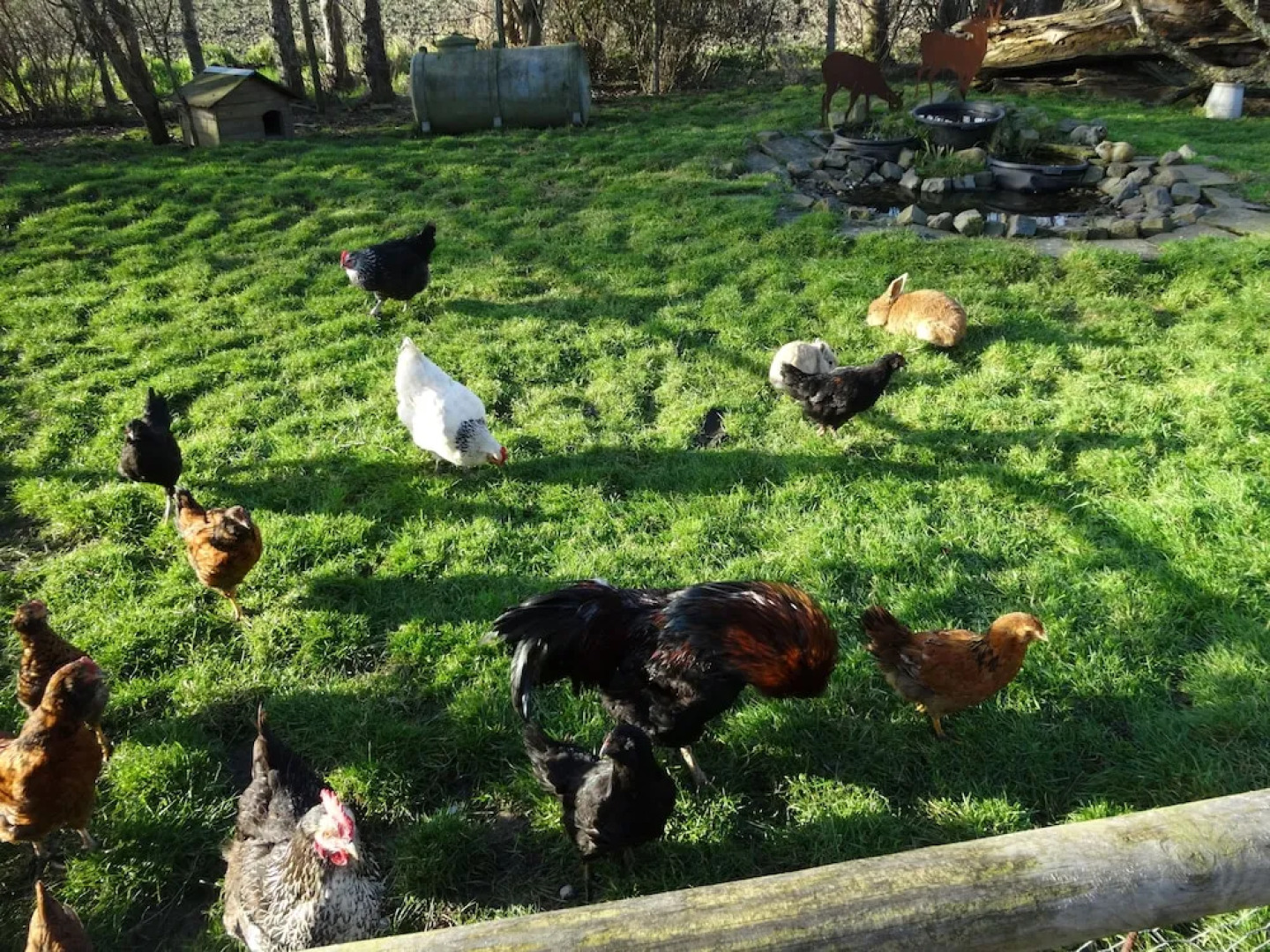 Crea-Trends Vacations - Apartments