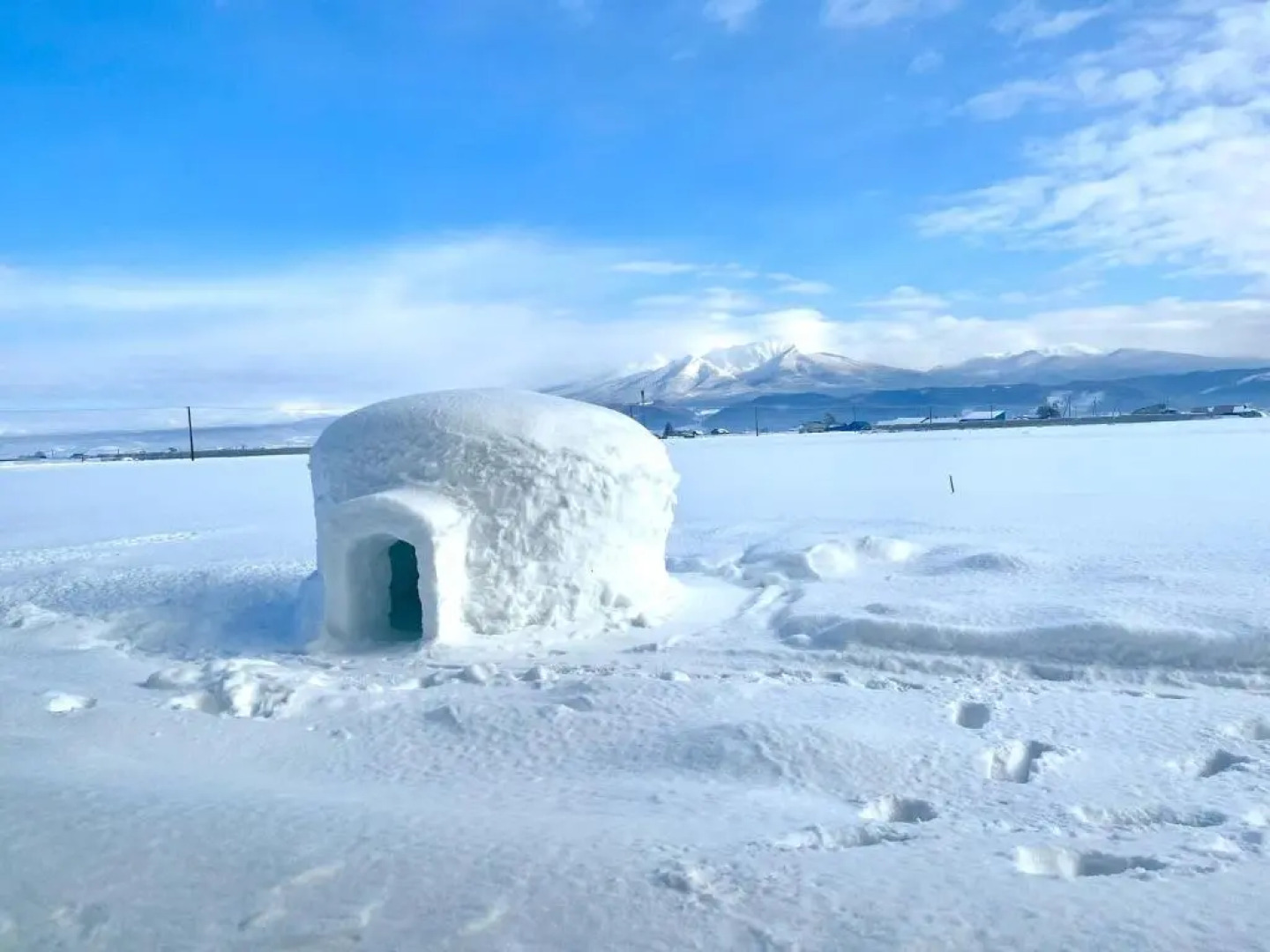 B&B Plus+ Shooting Star