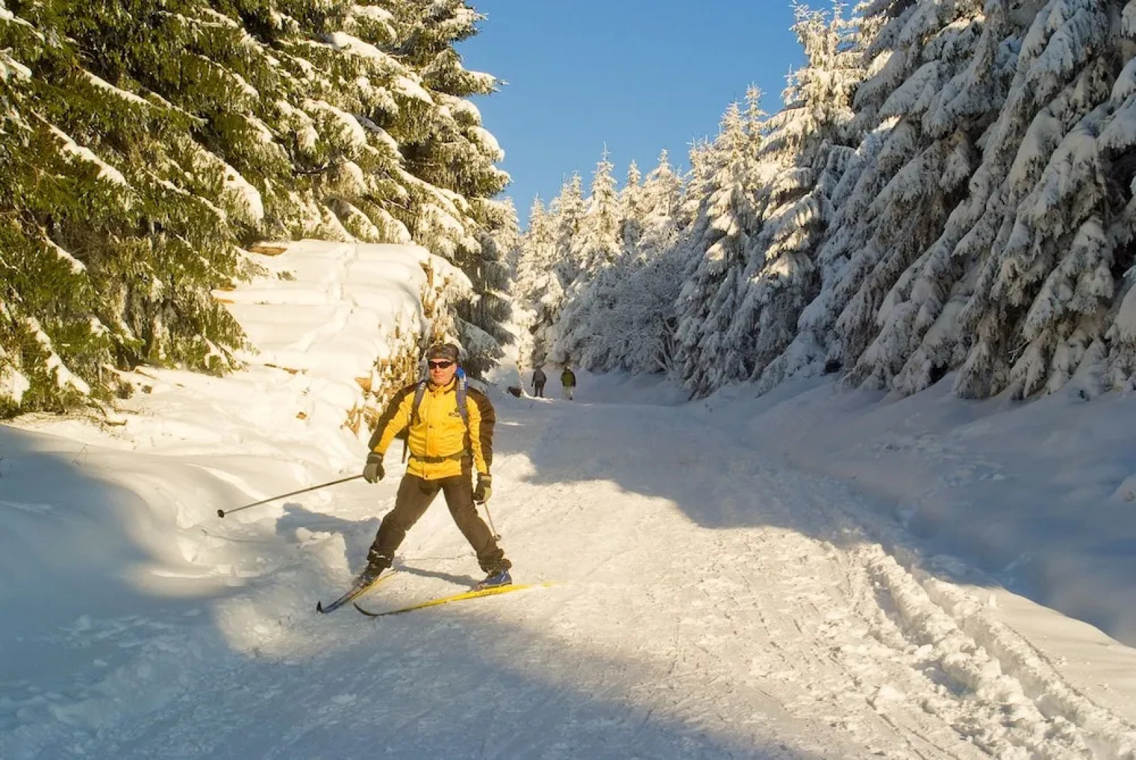 Hotel Zum Schneekopf