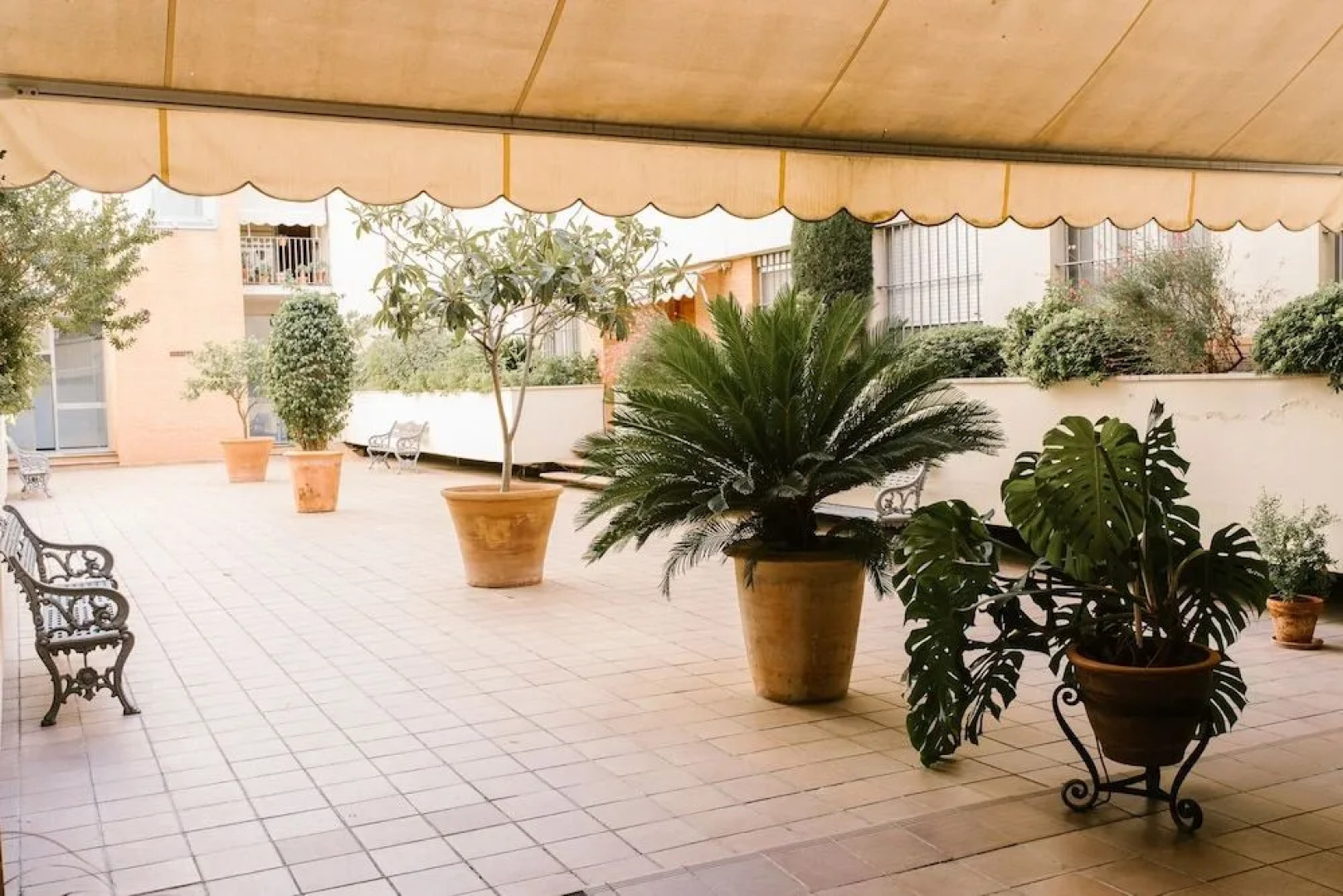 Sevilla Apartments Muro