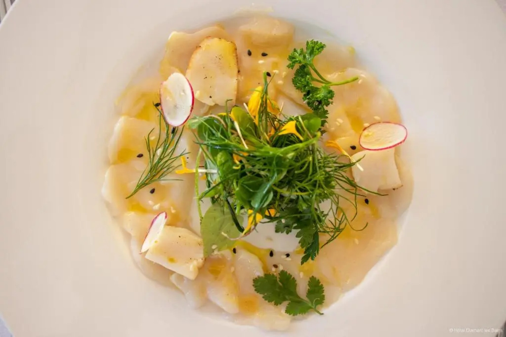 Diamant les Bains Résidence Hôtelière