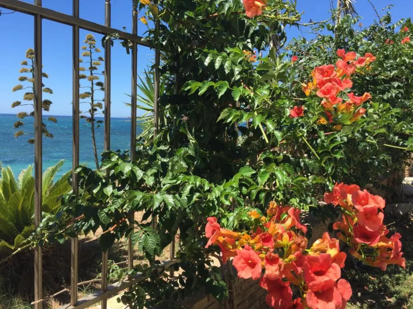 Swash & Ripple Studio by the sea