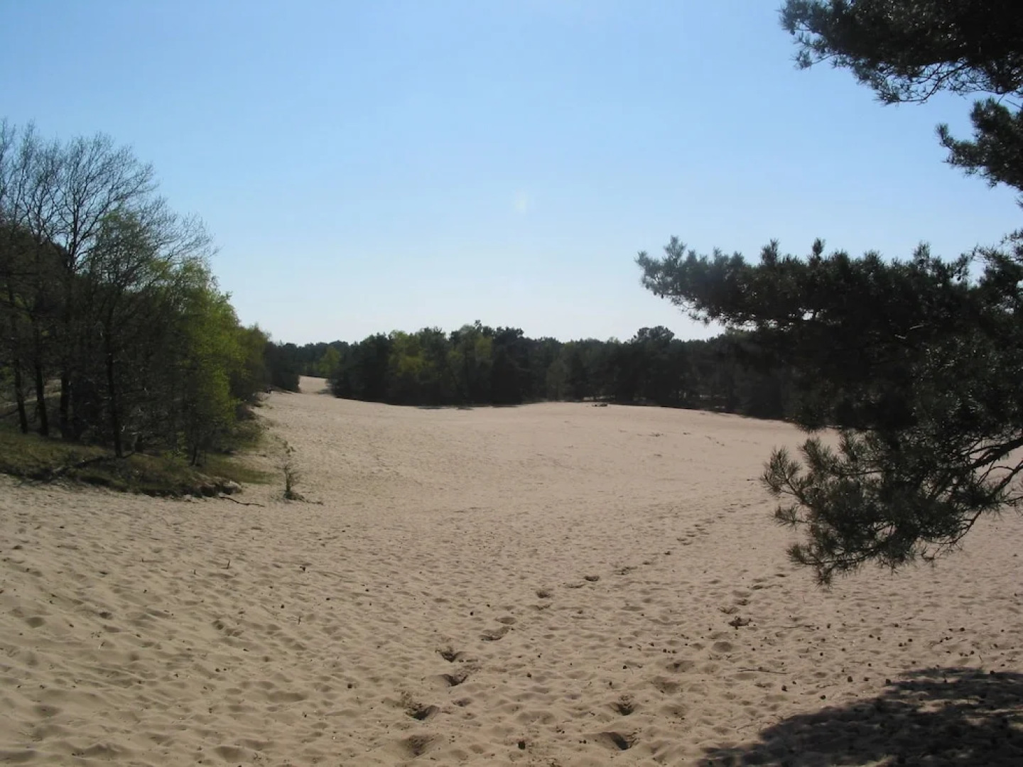 Romantic Bungalow With Dishwasher, Surrounded by Nature
