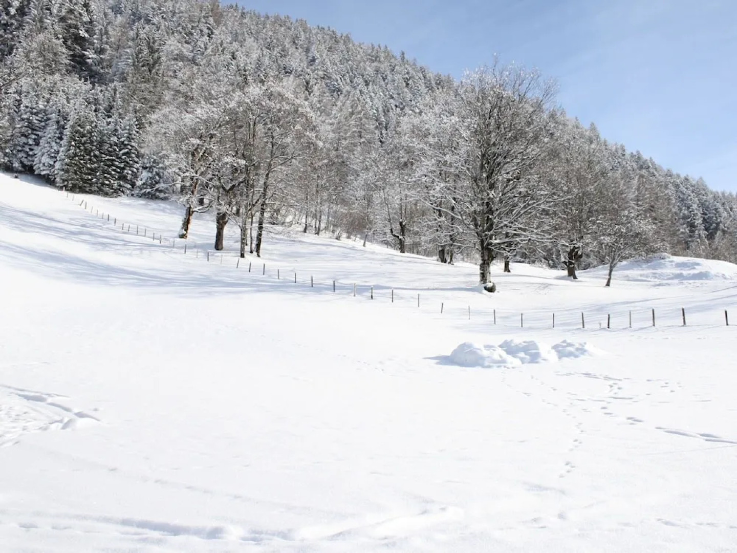 Cosy Holiday Home In Salzburg With Garden And Mountain Views
