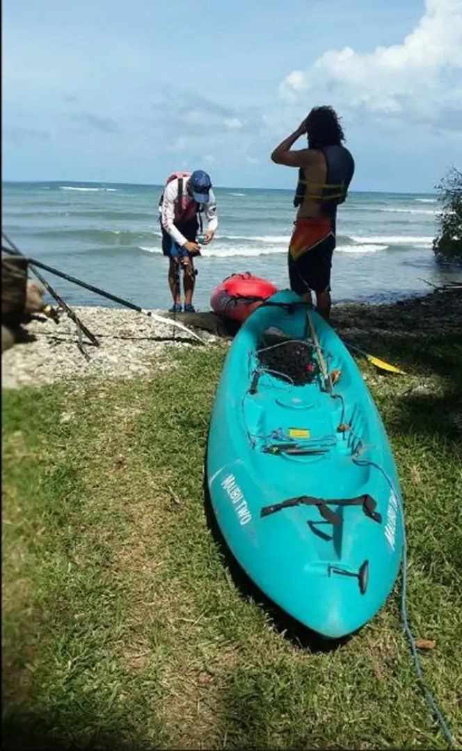 The Howler Monkey Hotel