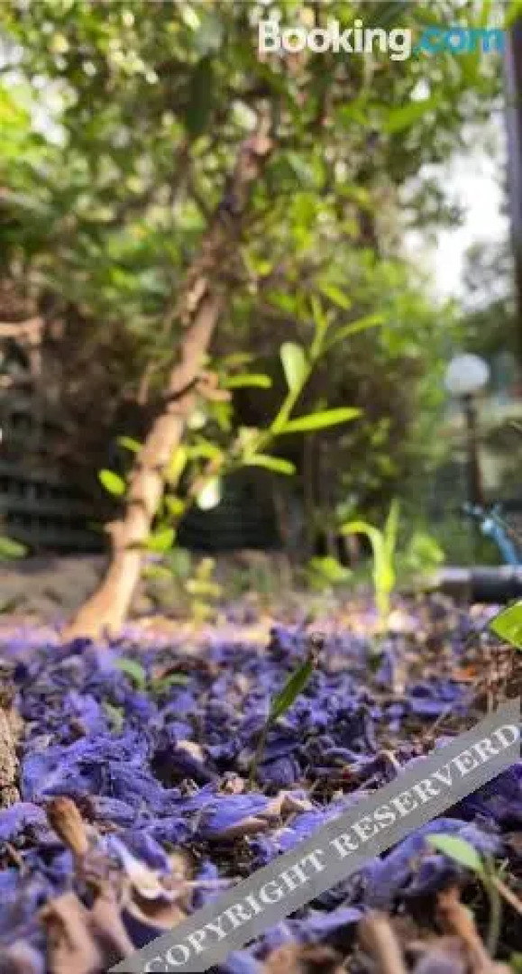 Sadeem Village & Chalet