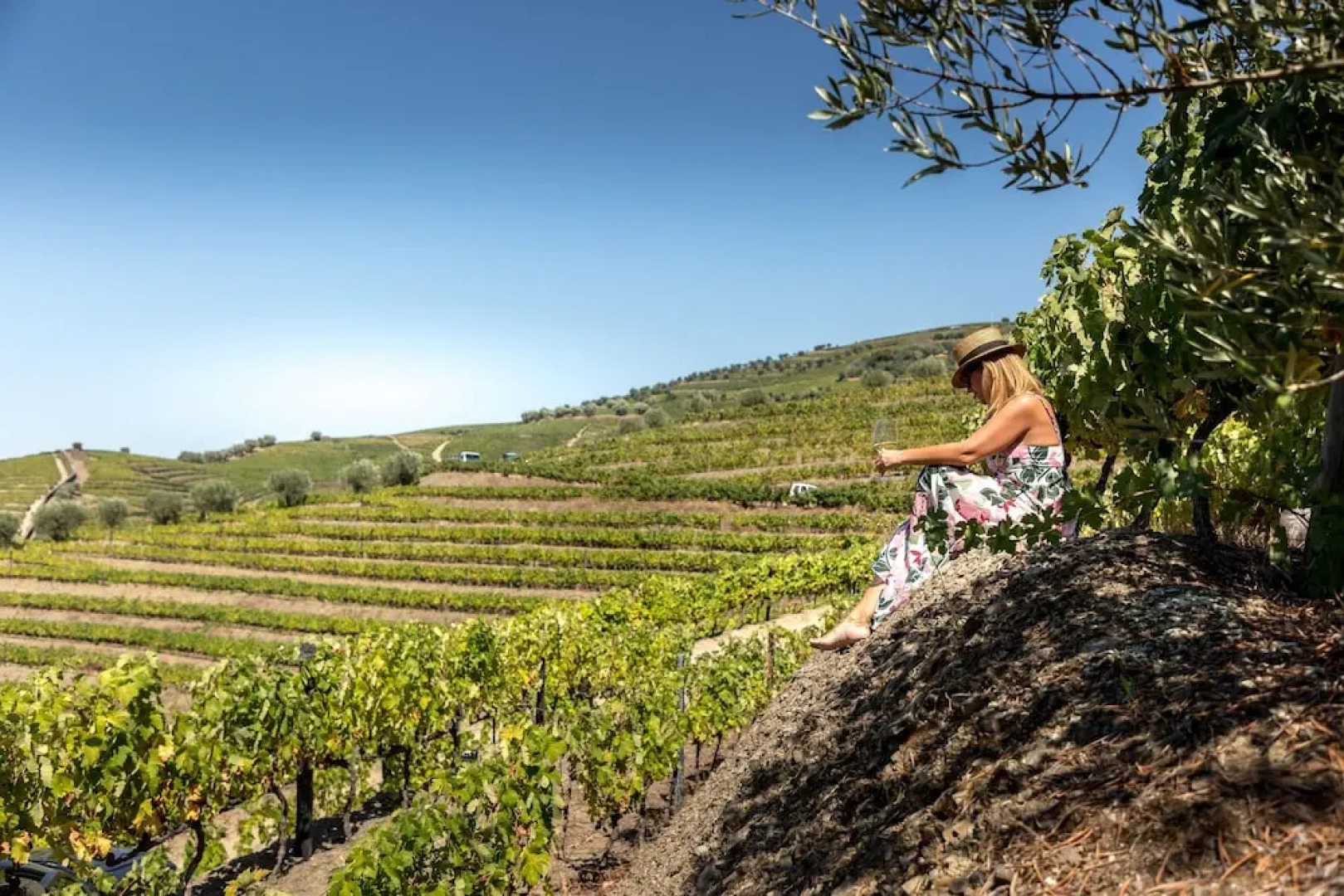 Casal dos Capelinhos - Quinta Nova