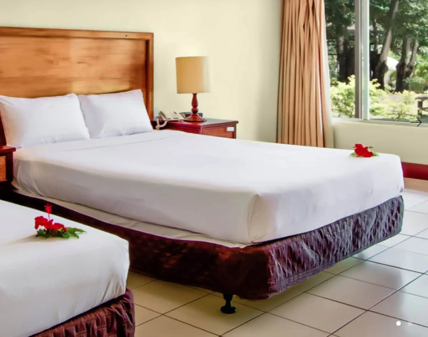 Tanoa Skylodge Hotel