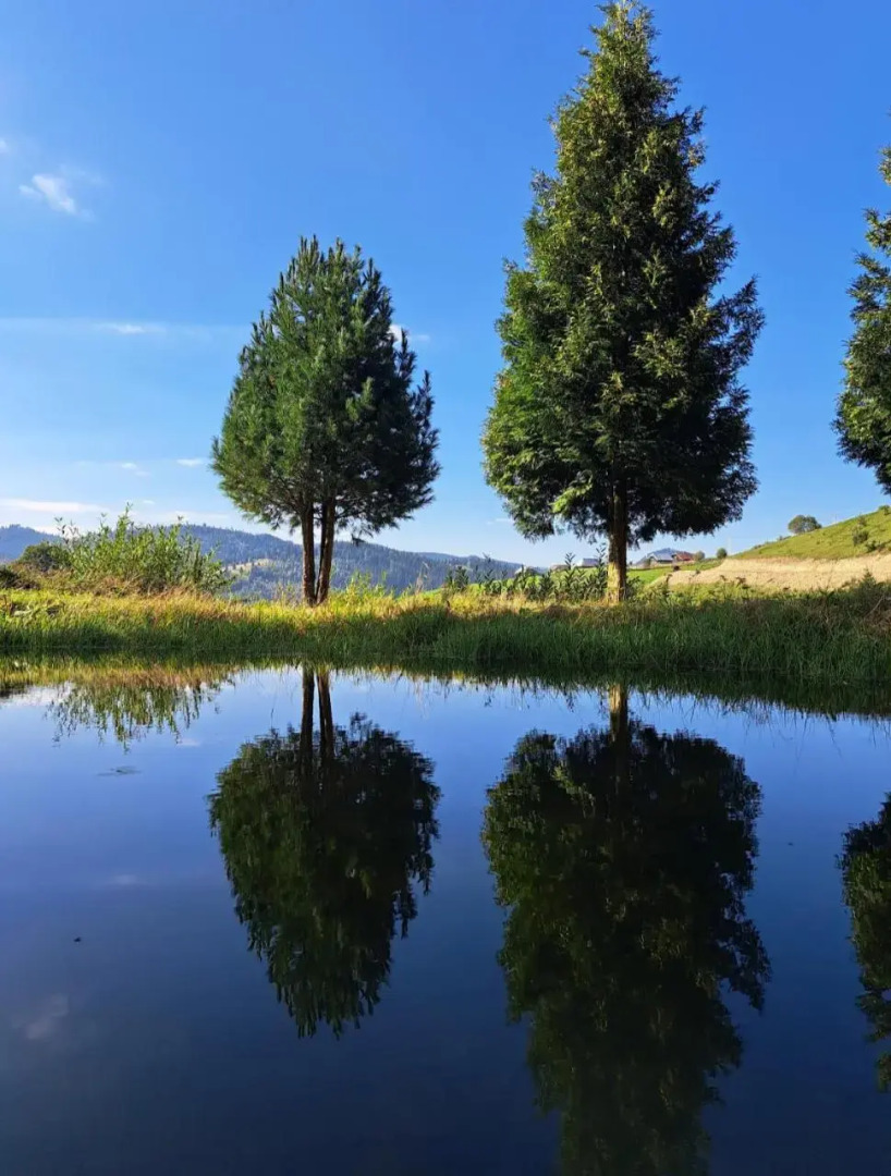 Pensiunea Poiana Izvoarelor