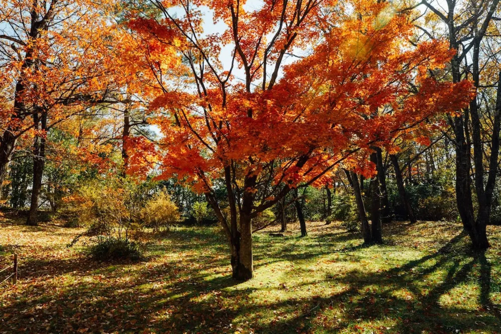 The Key Highland Nasu
