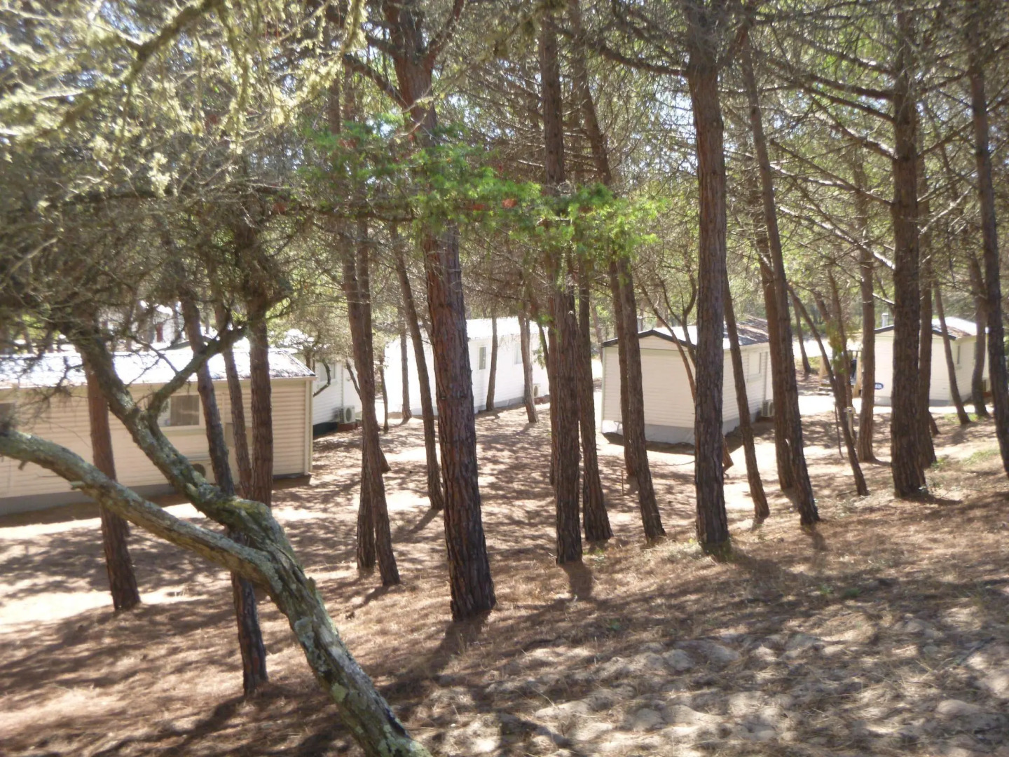 Mobile Home Basic a Sorso ID 4028