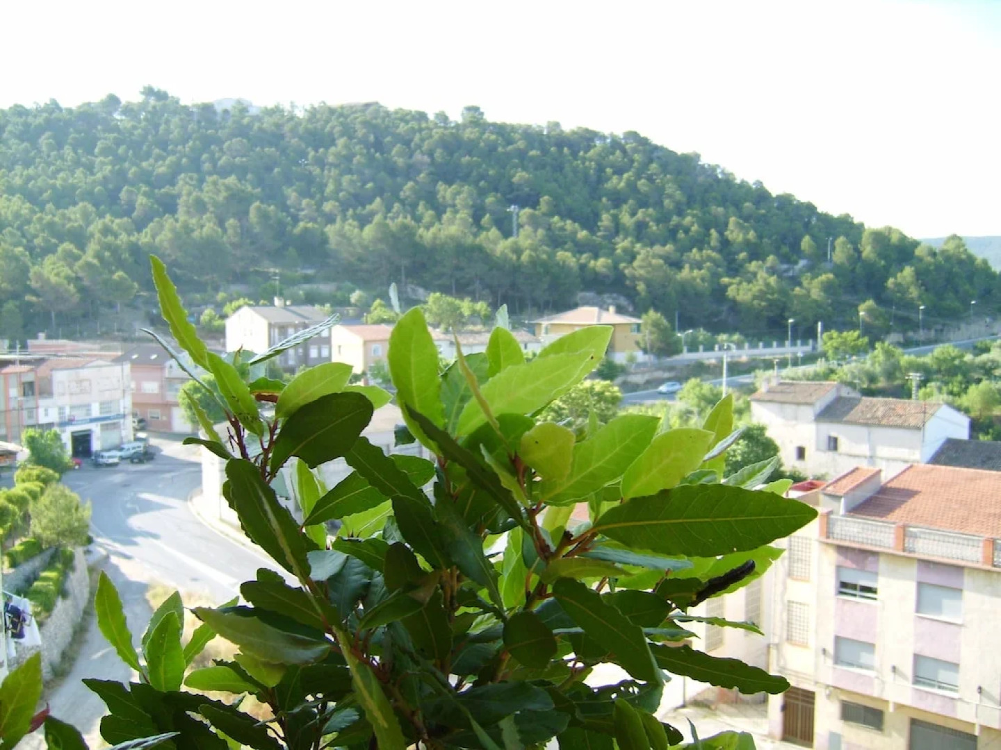 Hotel Meson El Castillo