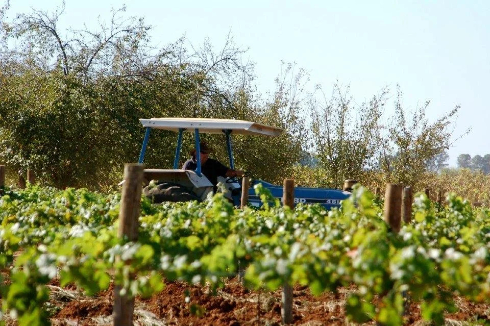 Catania Cottage & Farmhouse